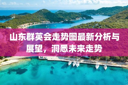 山东群英会走势图最新分析与展望，洞悉未来走势