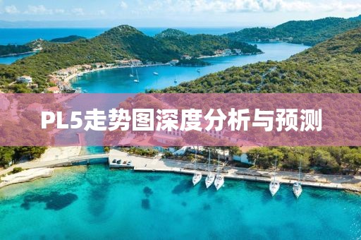 PL5走势图深度分析与预测