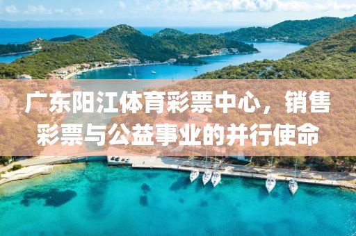 广东阳江体育彩票中心，销售彩票与公益事业的并行使命