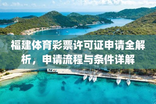 福建体育彩票许可证申请全解析，申请流程与条件详解