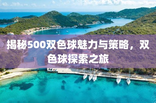 揭秘500双色球魅力与策略，双色球探索之旅