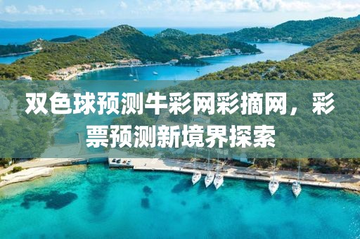 双色球预测牛彩网彩摘网，彩票预测新境界探索