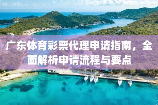 广东体育彩票代理申请指南，全面解析申请流程与要点